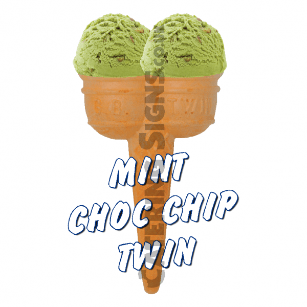 Mint Choc Chip Twin Scoop