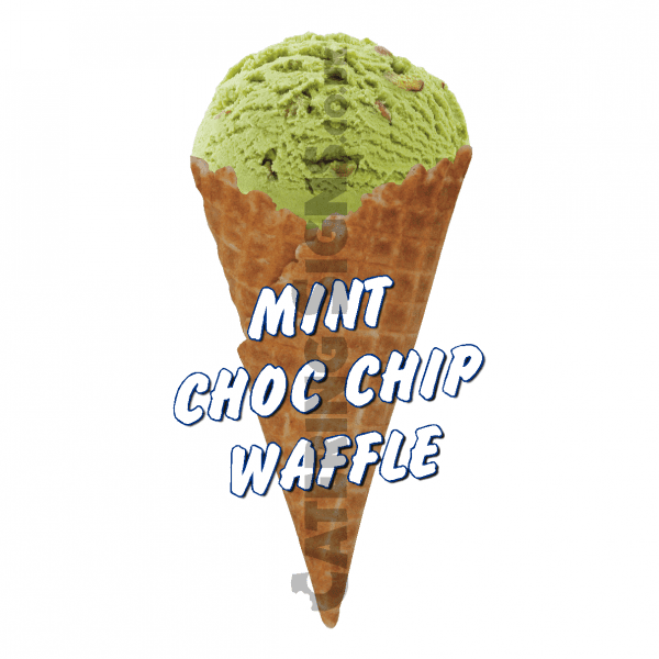 Mint Choc Chip Waffle Scoop